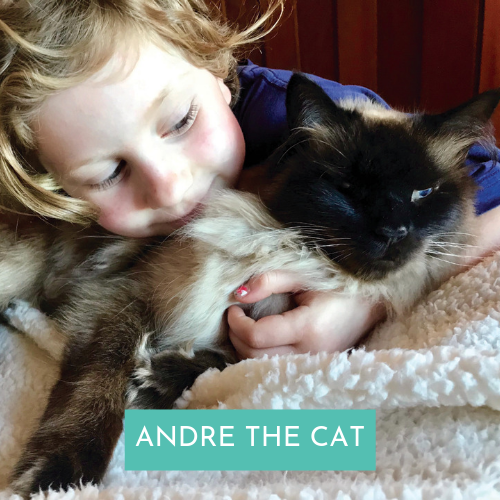 Happy Tale - Andre the Cat