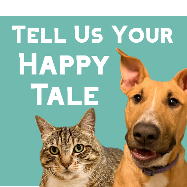 Tell us your happy tale
